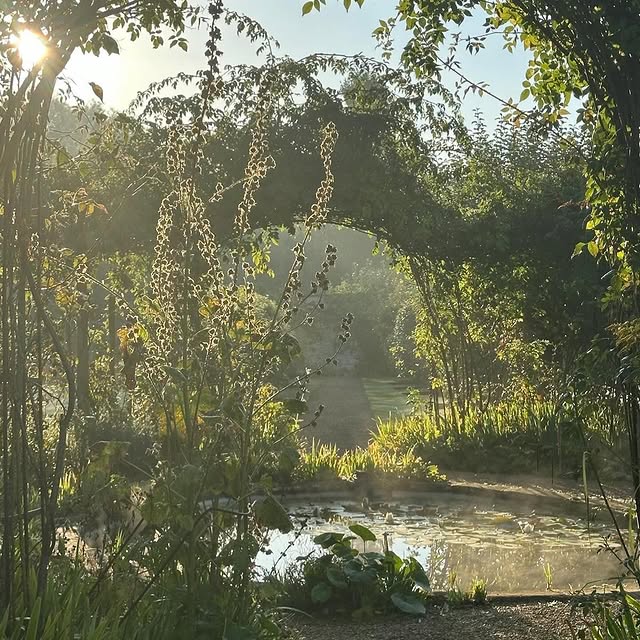 Post by roushamgardens