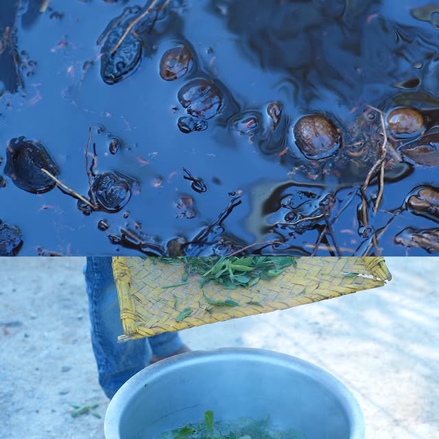 Post by farmingbusiness2020