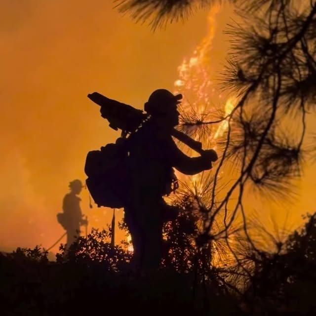 Post by firesciencenutrition