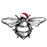 BeeKind Syracuse's profile picture