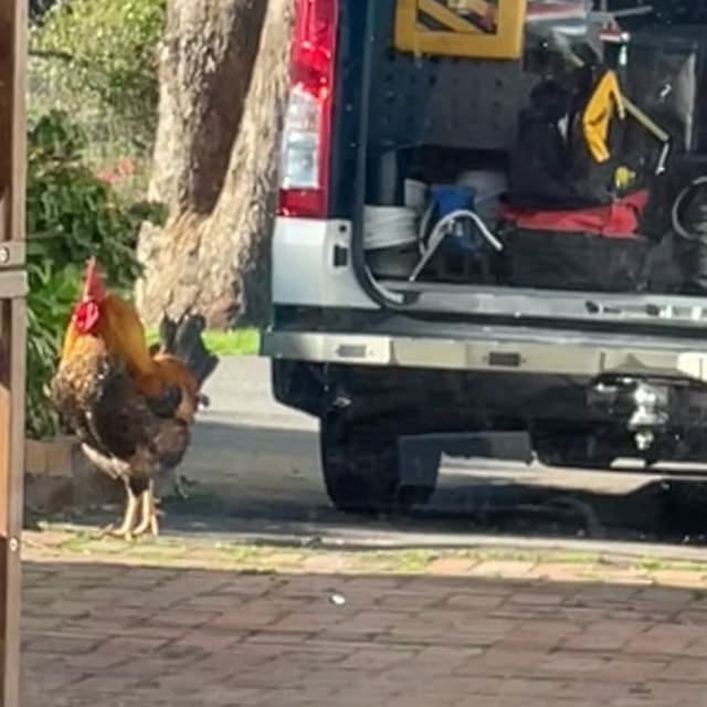 Post by mainswitchelectrical