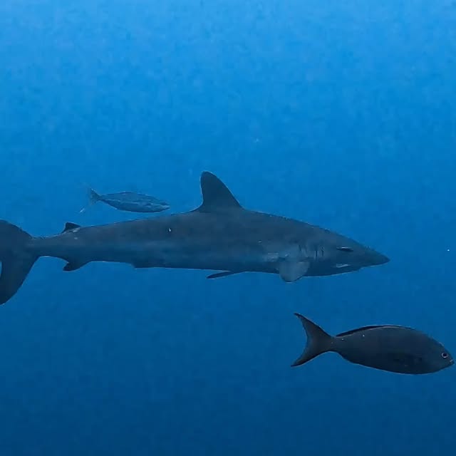 Post by kath.sea.fish