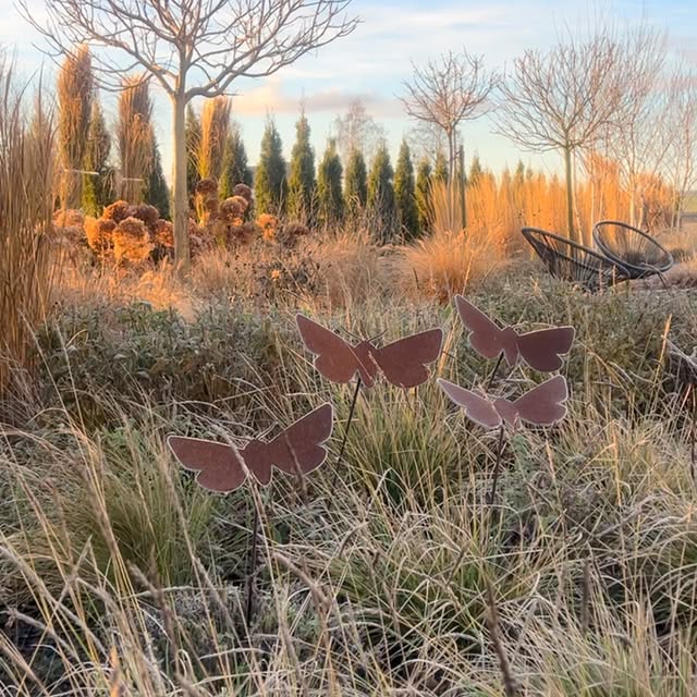 Post by szczypiorkatarzyna