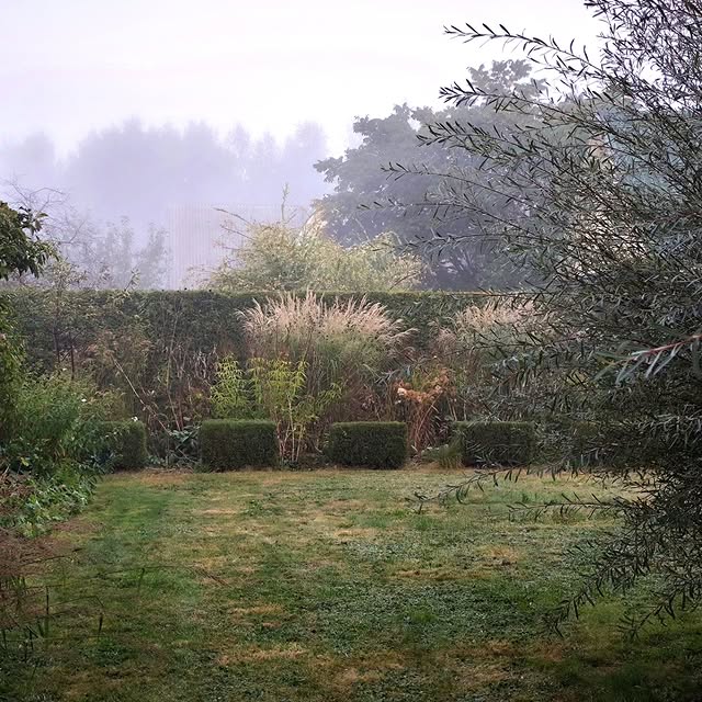 Post by rasalaurinaviciene