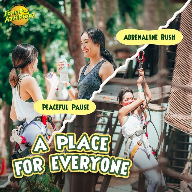 Post by forestadventuresg