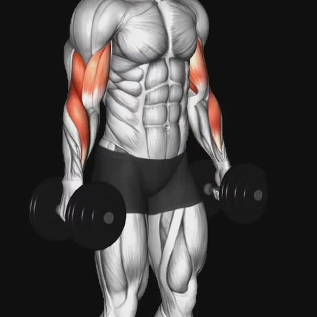 Post by gym_fitness.point01