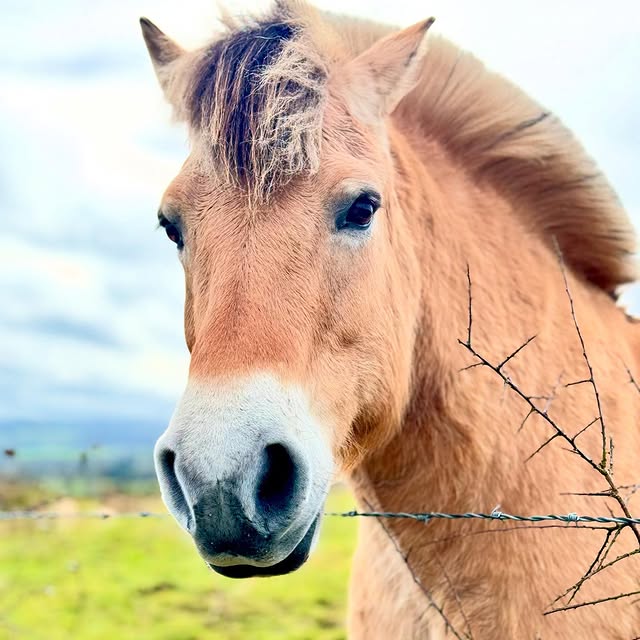 Post by philippe_caen