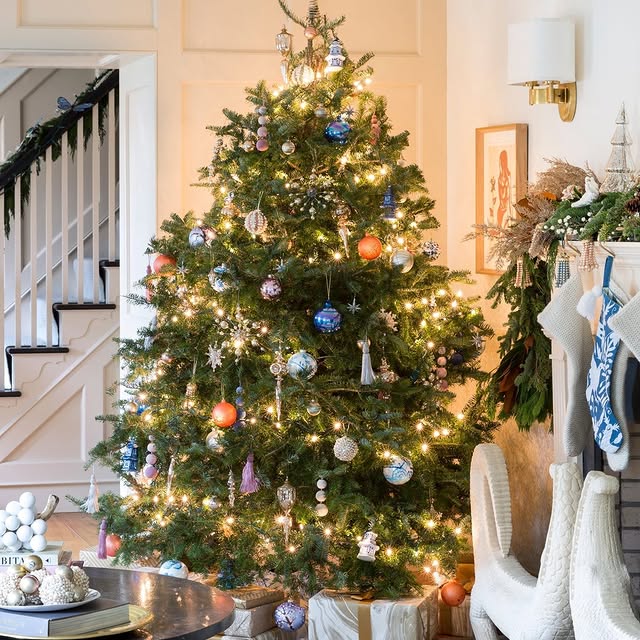 Post by onekingslane