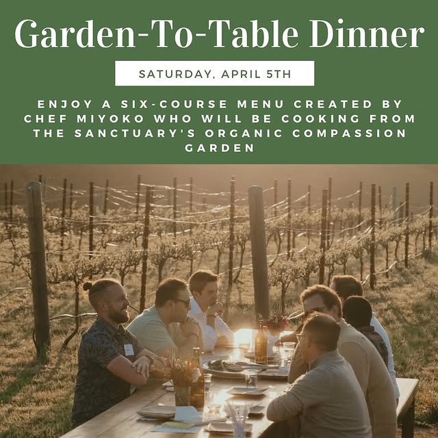 Post by miyokoschinner