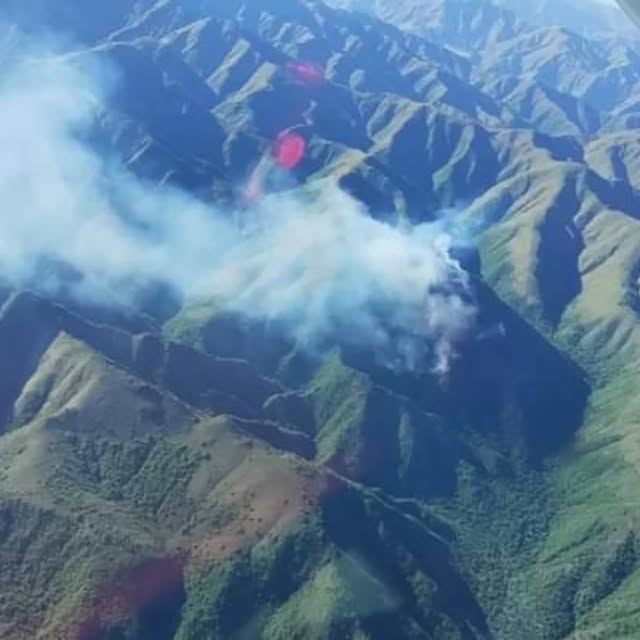 Post by incendiosforestalesargentina