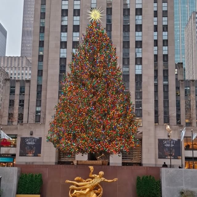 Post by colleensinteriors