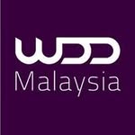 websitedesignmy