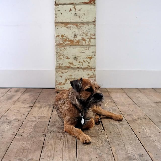 Post by puckhaberdecor