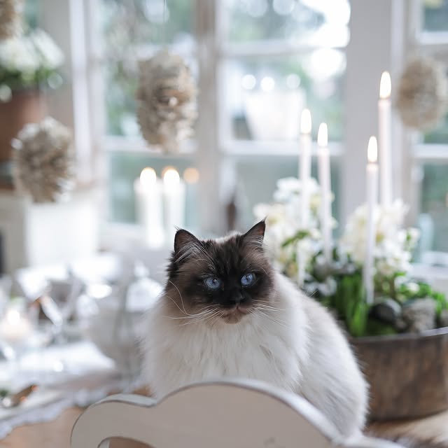 Post by timeundvision_die_blumenfee