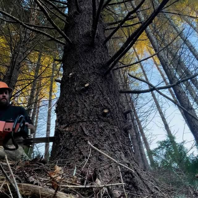 Post by coast_cutter