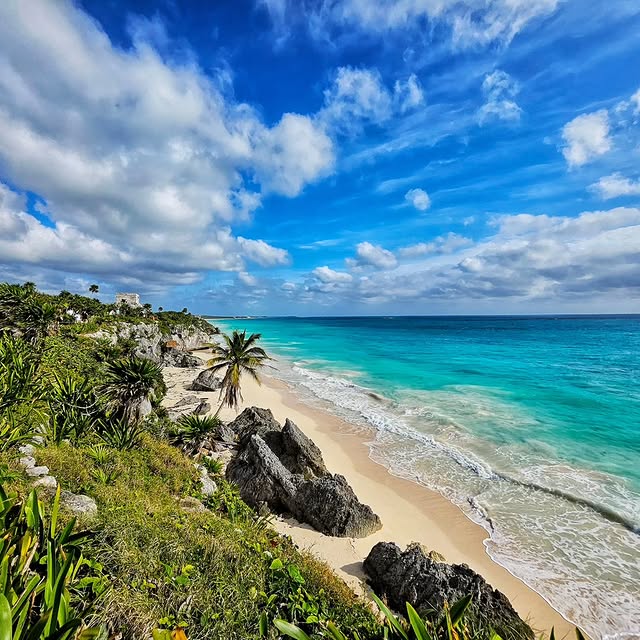 Post by vincentong2402