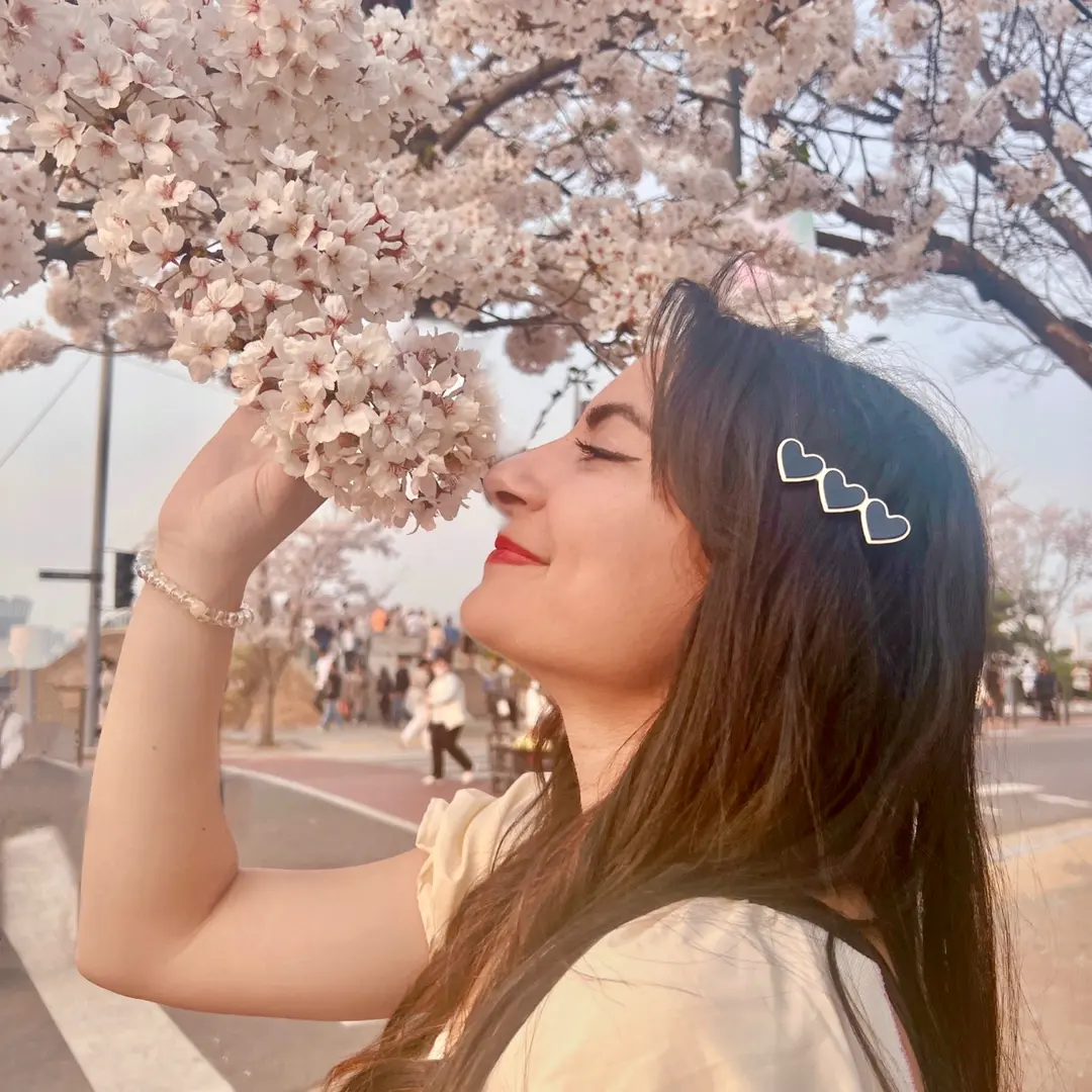 Sam in Seoul 🌸's profile picture