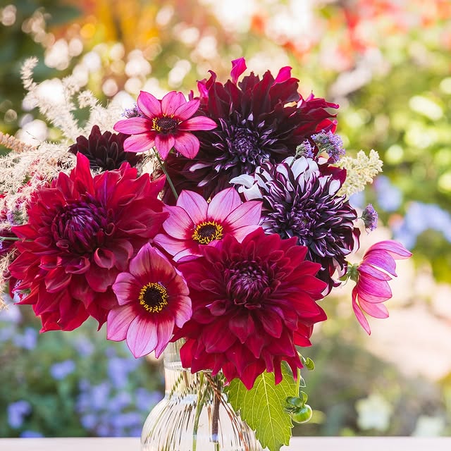 Post by rosannacastrinigardens