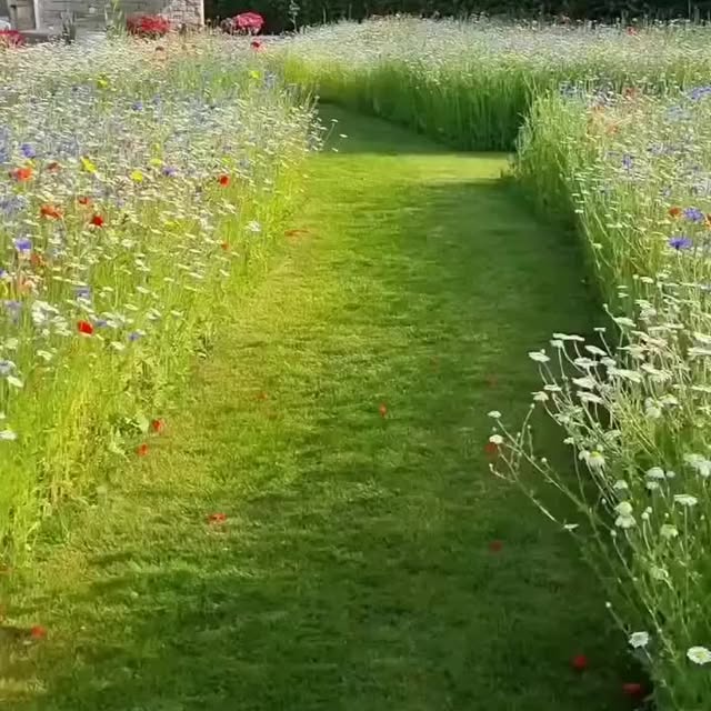 Post by gardening.paeet