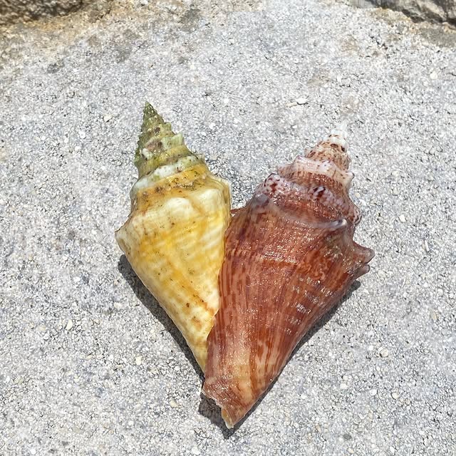 Post by lilyrose_depp