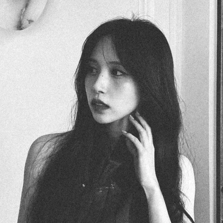 Minari_Penguin's profile picture