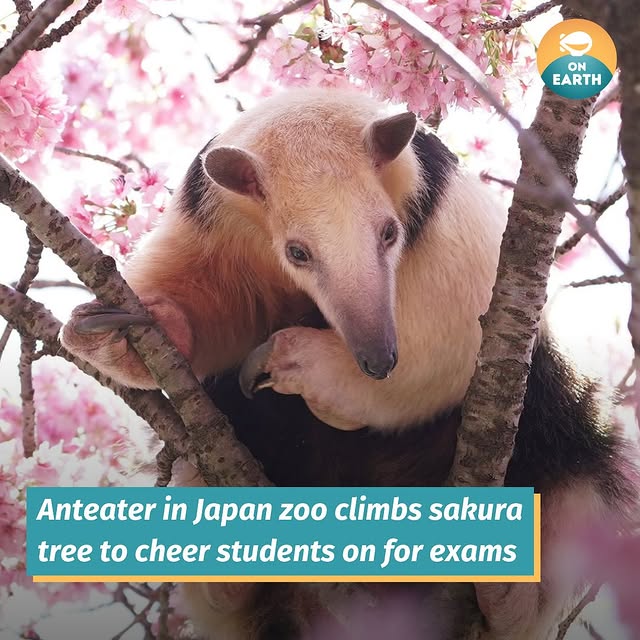 Post by mothershiponearth