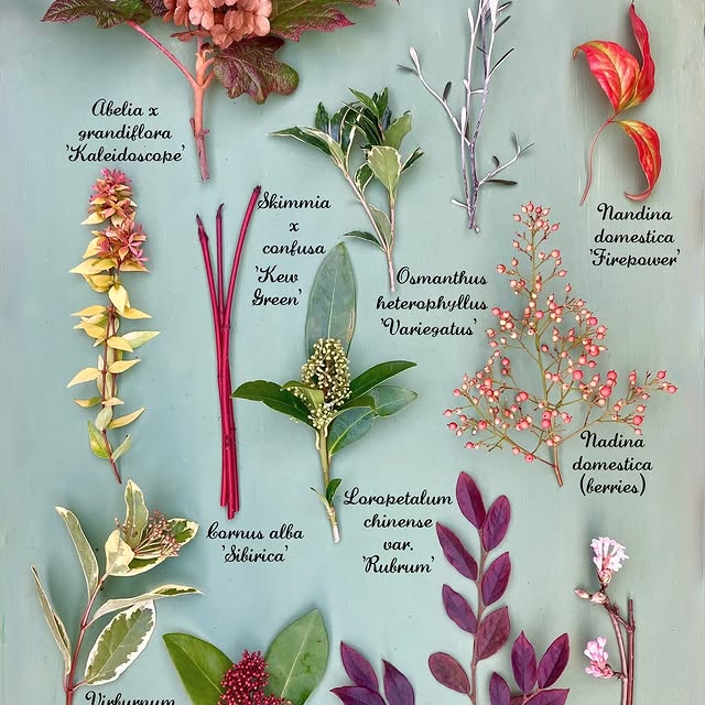 Post by katesinthegarden