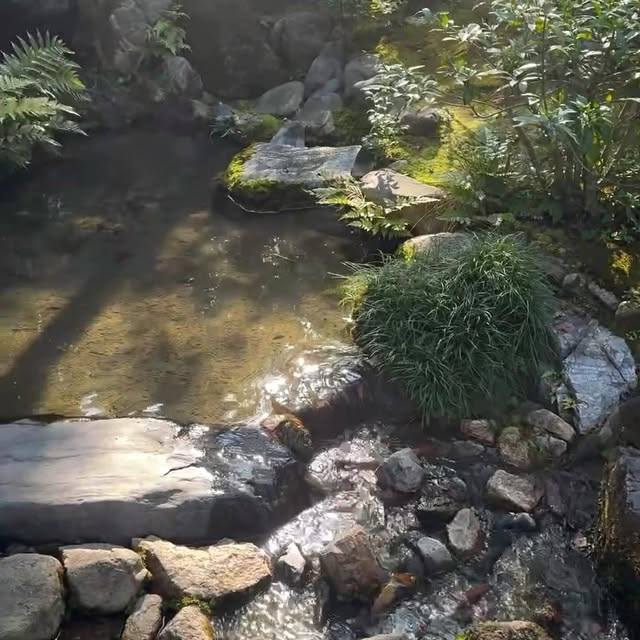 Post by themoosegarden