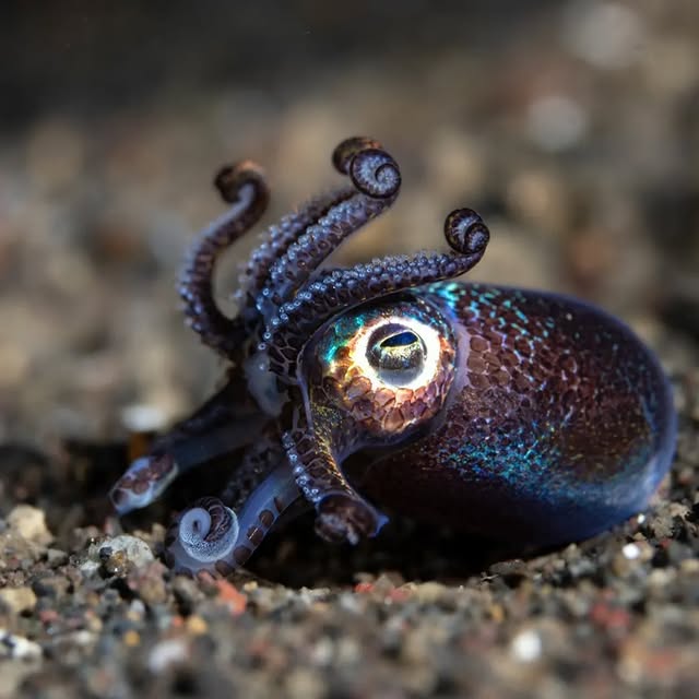 Post by submariner_202