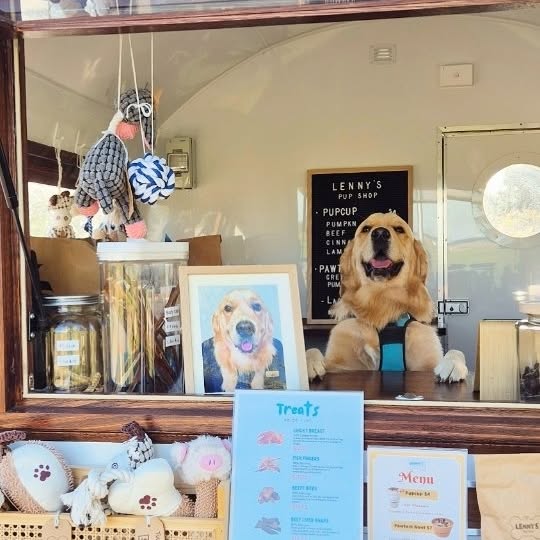 Post by lennyspupshop