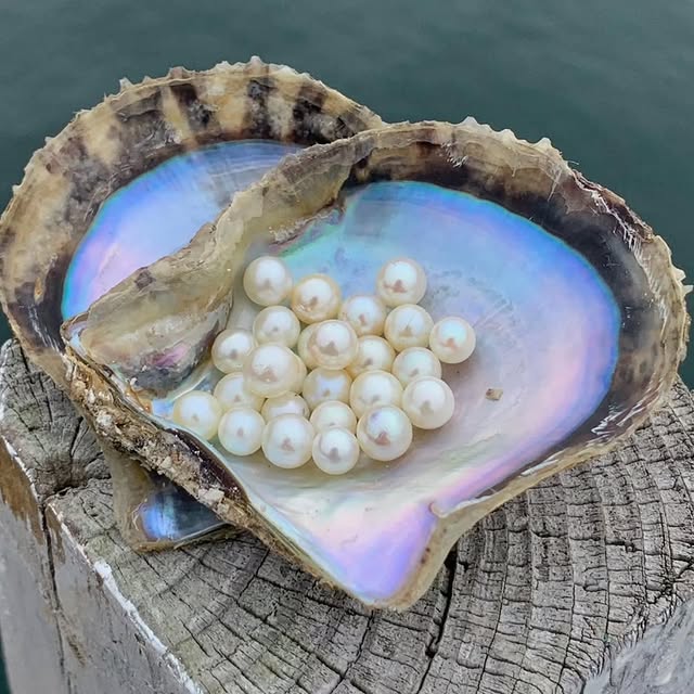 Post by thecultureofpearls