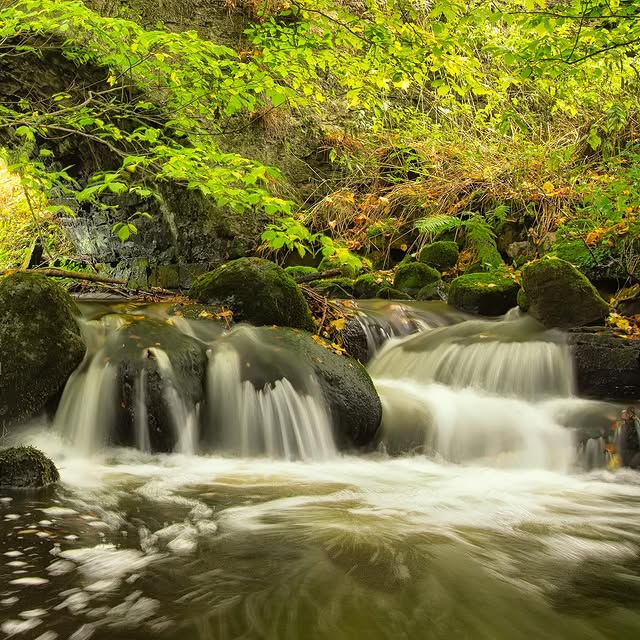 Post by rodmackayphotography