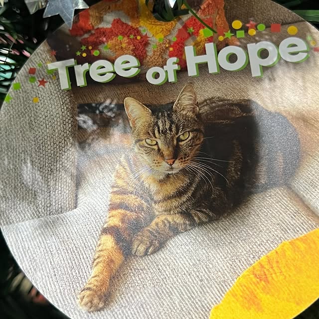 Post by sophies.legacy