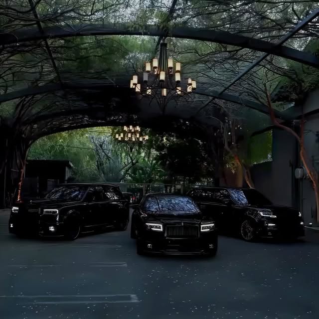 Post by elitewifisociety