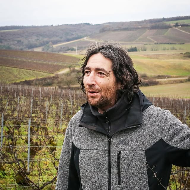 Post by jajapowerwines