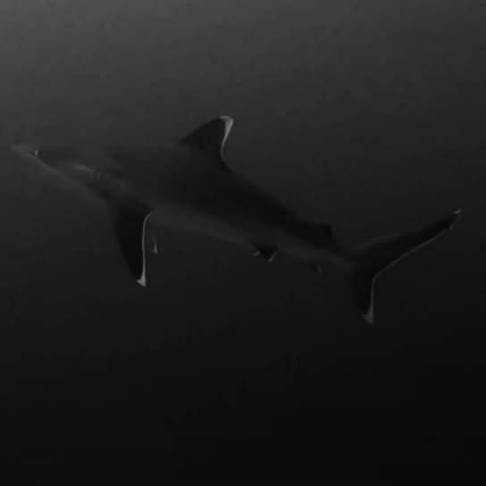 Post by kath.sea.fish