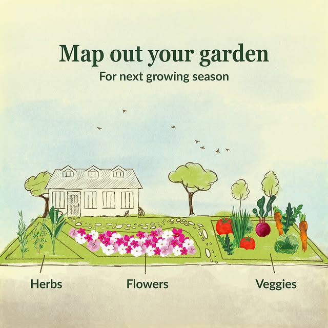 Post by ferrymorseseed