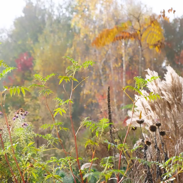 Post by arcadia_landscape_design