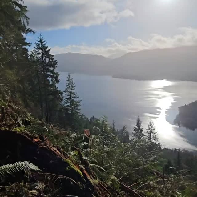 Post by nighthawkfalling