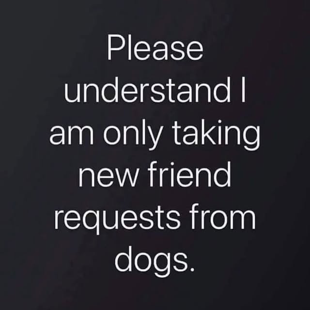 Post by labrador.rescue.australia