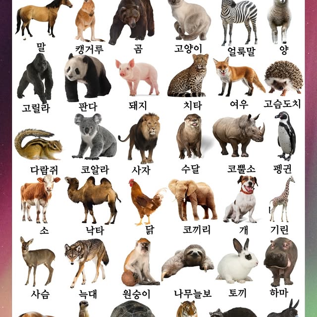 Post by koreanteacher_sunnie