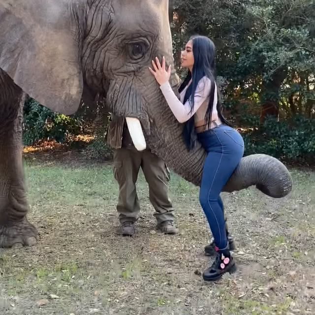 Post by jailyneojeda