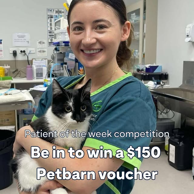 Post by greencrossvets