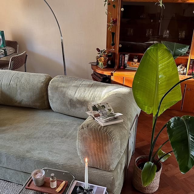 Post by momentsabloom