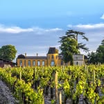 Château Lafon-Rochet's profile picture