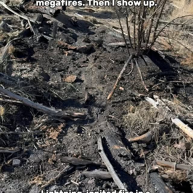 Post by nevada_fuels