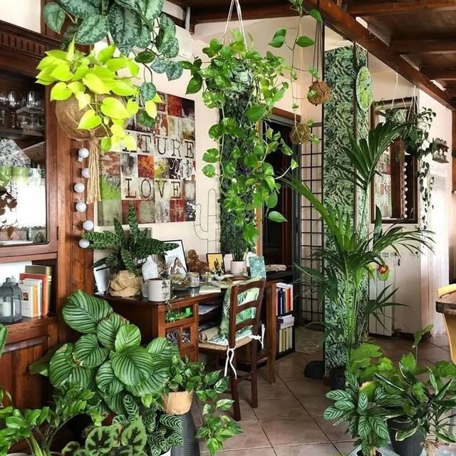 Post by plant_lovers4