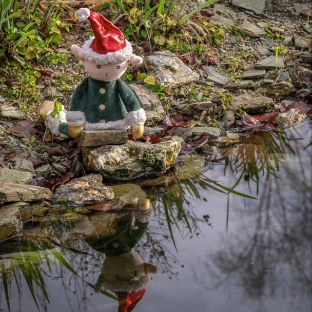 Post by wildsidegarden