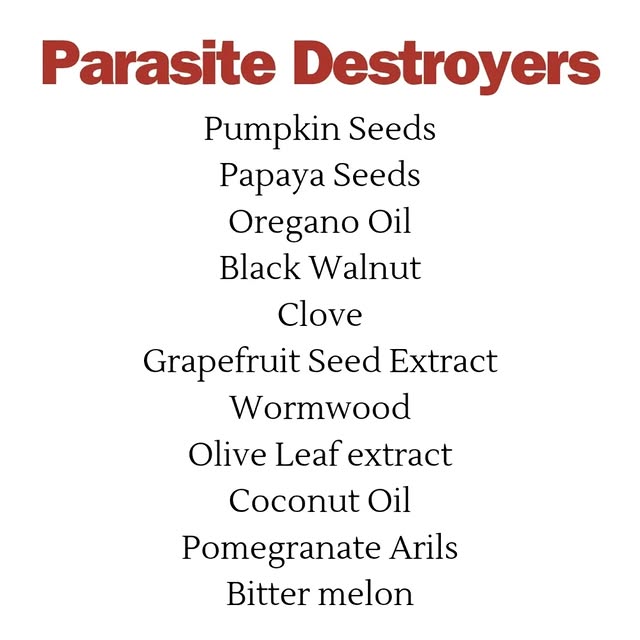 Post by wegoplantbased