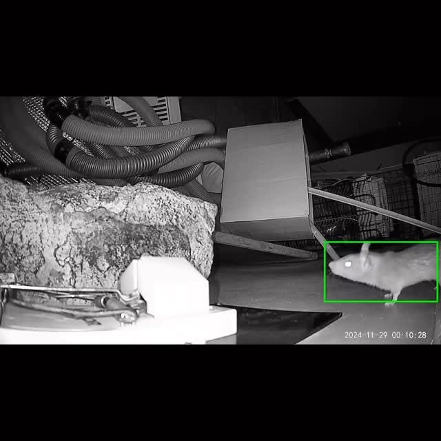 Post by twinhomeexperts